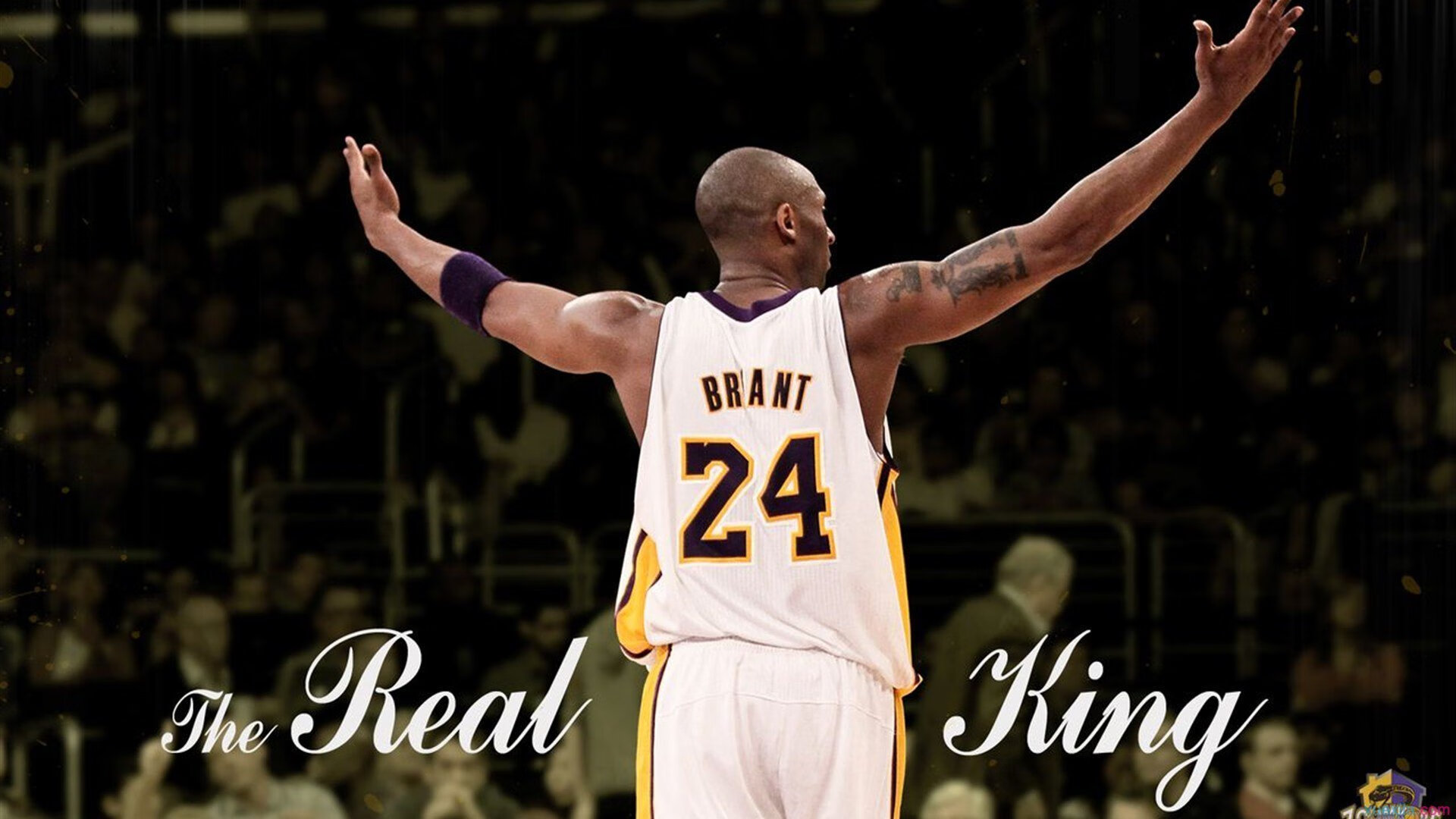 瑞安：全黑队未来的进攻核心，带领球队迈向新高度，瑞安扫黑除恶最新消息